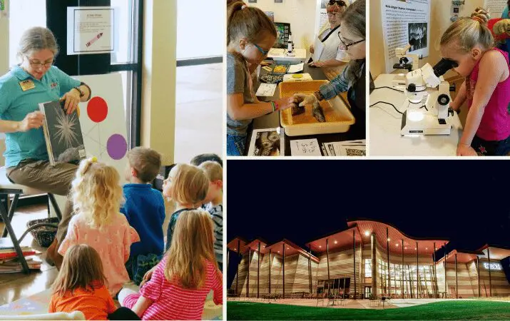 'Children's museum activities: storytime, hands-on science, and night view of the museum building.'