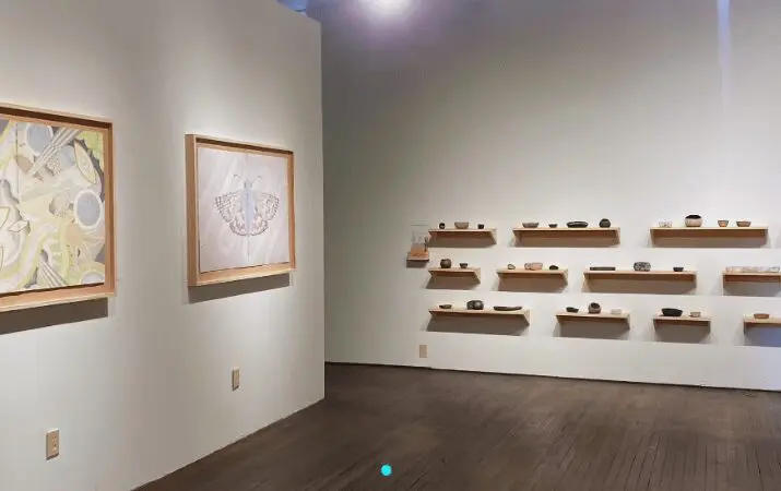 Art gallery with framed abstract paintings and shelves displaying small ceramic bowls on the walls.