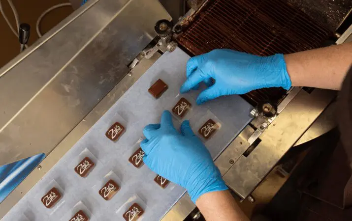 Person wearing blue gloves arranging chocolates with 'Zotter' logo on a conveyor belt.