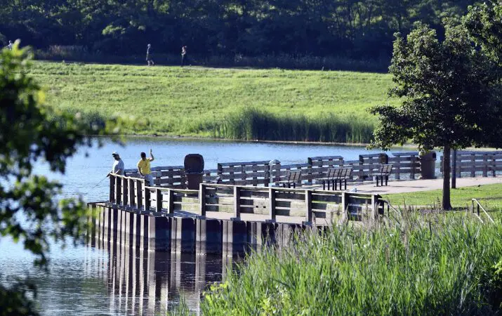 People fishing on a wooden pier by a lake, surrounded by lush greenery.