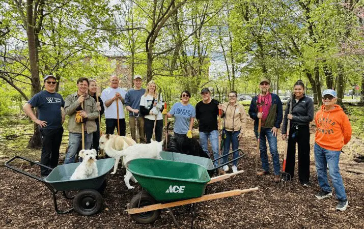 A group of people and dogs with gardening tools in a park, standing behind wheelbarrows.