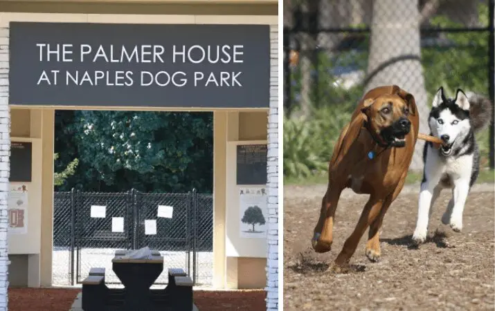 'The Palmer House at Naples Dog Park' sign; two dogs playing fetch nearby.