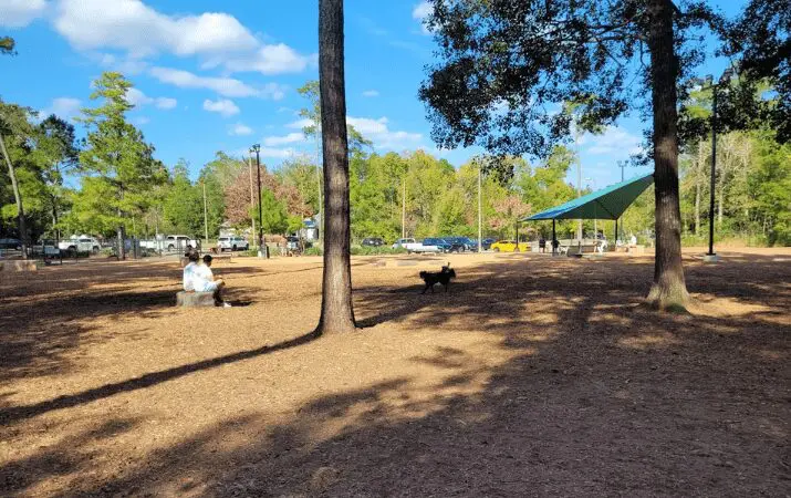 People sitting and a dog playing in a sunny park with trees and a canopy.