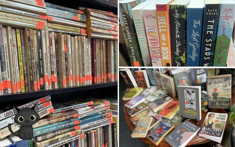 Bookshelves filled with various books, a table displaying more books, and a cartoon black cat.