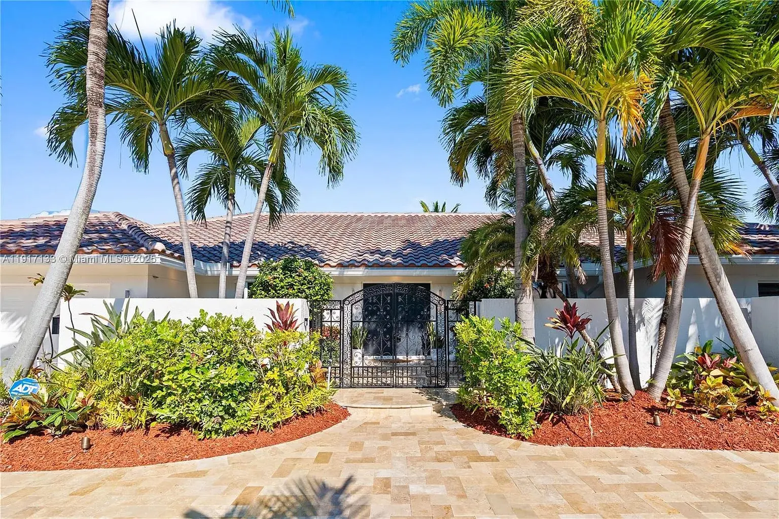 Tropical house entrance with palm trees, decorative gate, and landscaped garden under a clear blue sky.