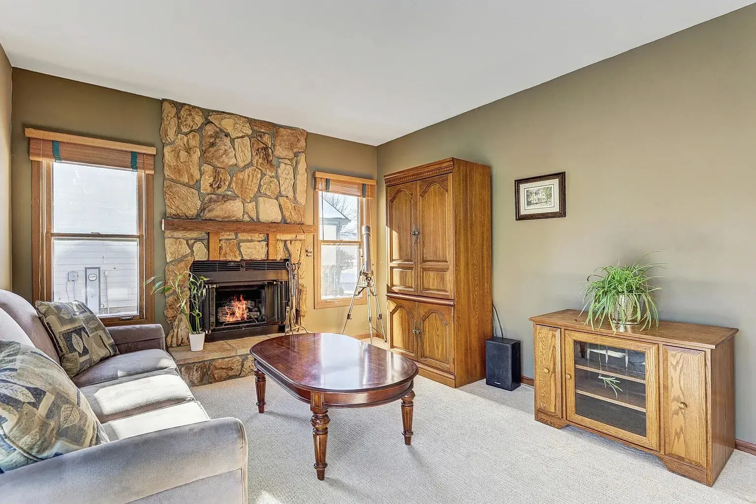 Cozy living room with stone fireplace, gray sofa, wooden furniture, plants, and bright windows.