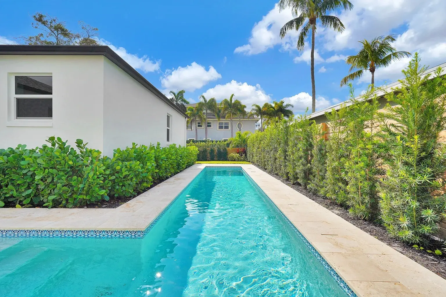 Long, narrow swimming pool beside a white house, surrounded by greenery and palm trees.
