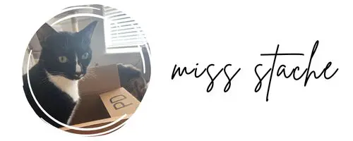 Picture of a cat with a Miss Stache signature