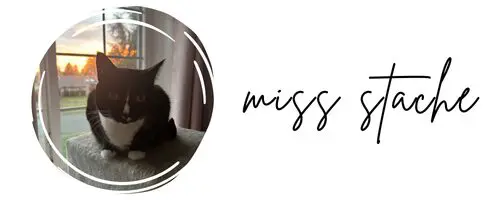 Picture of a cat with a Miss Stache signature