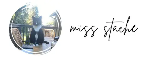 Picture of a cat with a Miss Stache signature