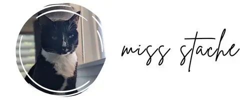 Picture of a cat with a Miss Stache signature