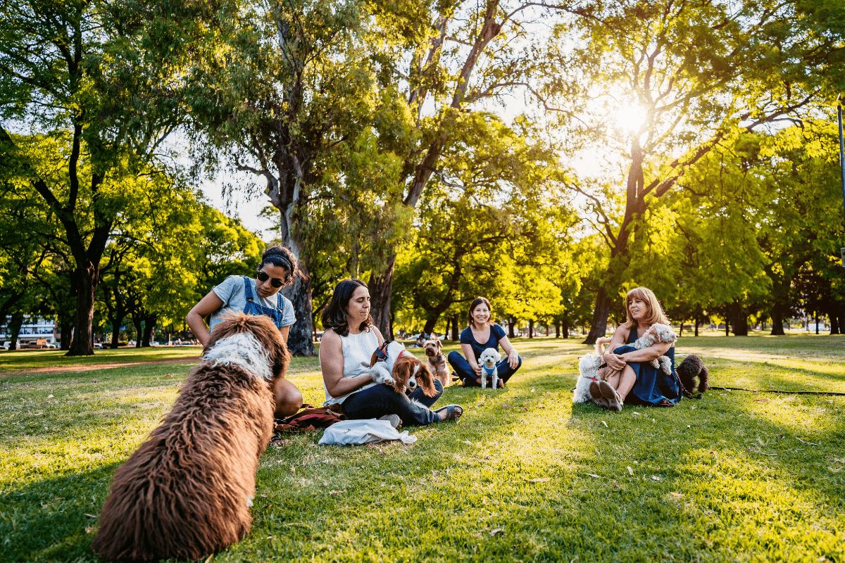 A group of people with their dogs sitting in the grass at a dog park.