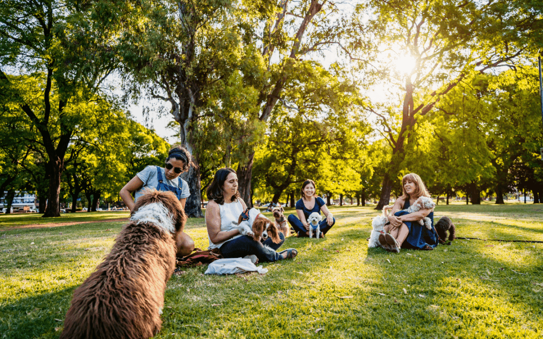 A Local’s Guide to Dog Parks around East Valley