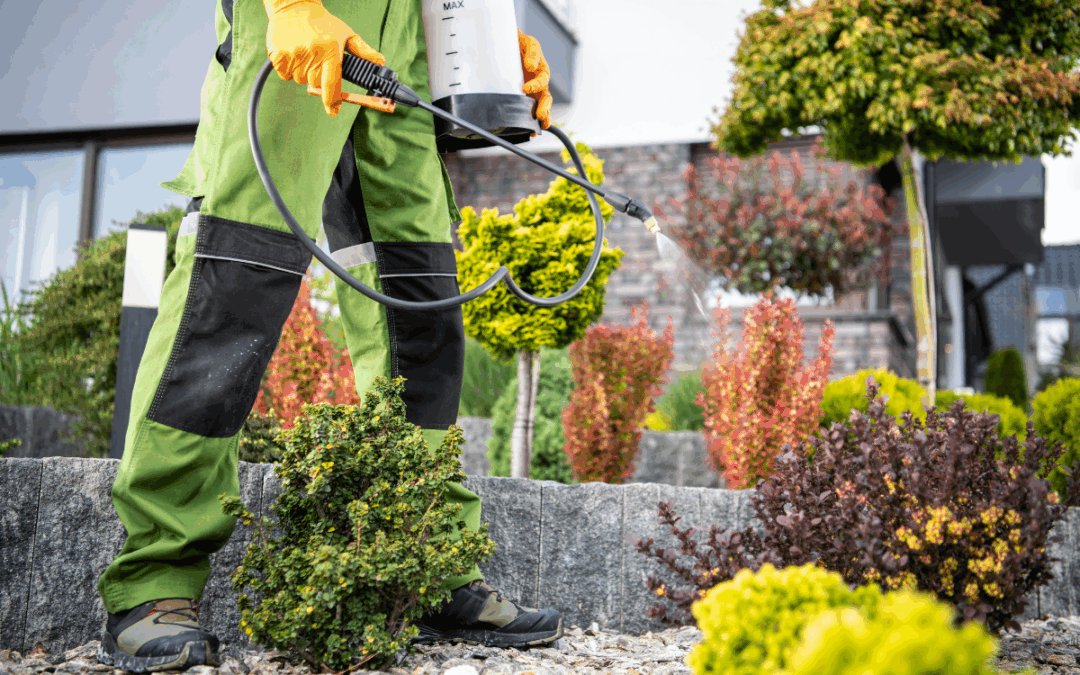 Pest Control Companies in Tacoma, WA