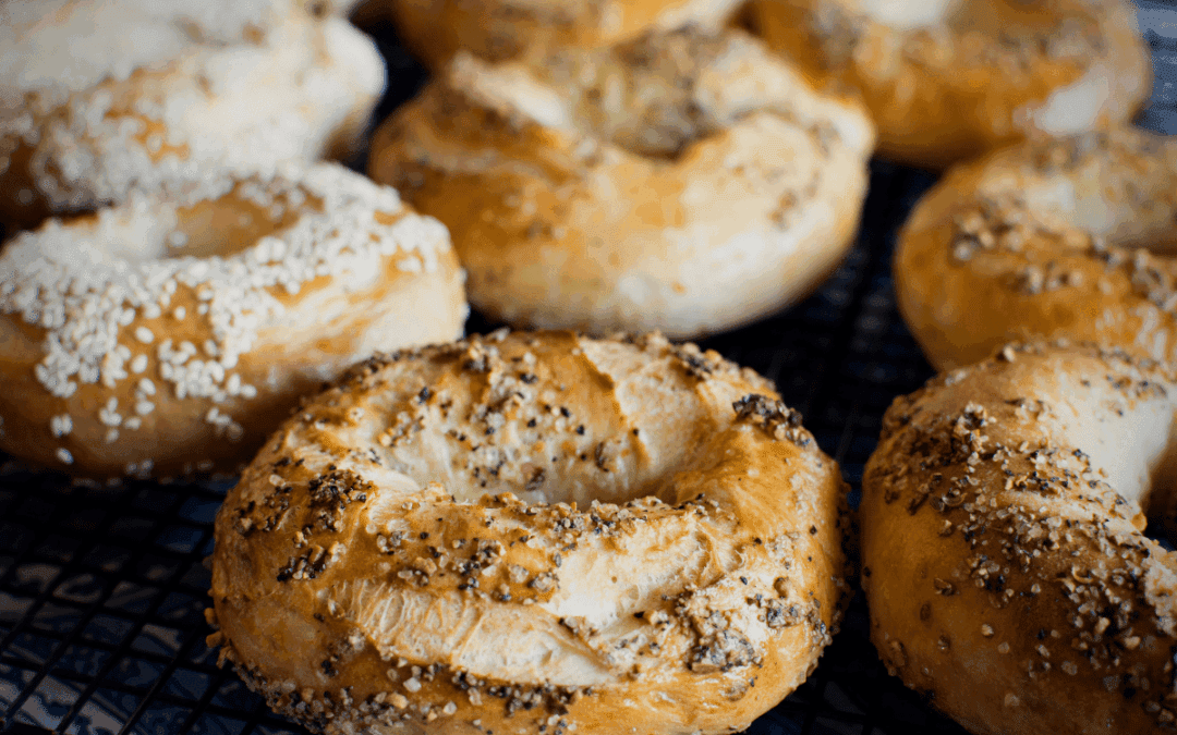 11 Spots to Get Delicious Bagels in Eugene