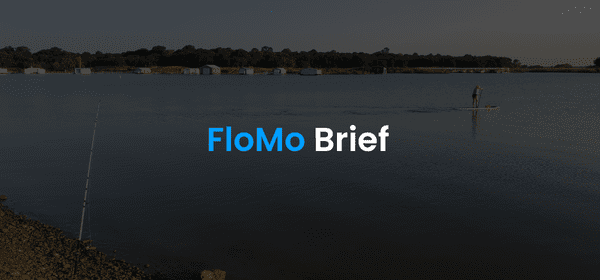 FloMo Brief