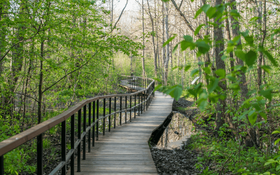 A Local’s Guide to Hiking Trails & Walking Paths Near Sioux Falls