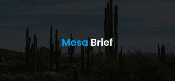 Mesa Brief