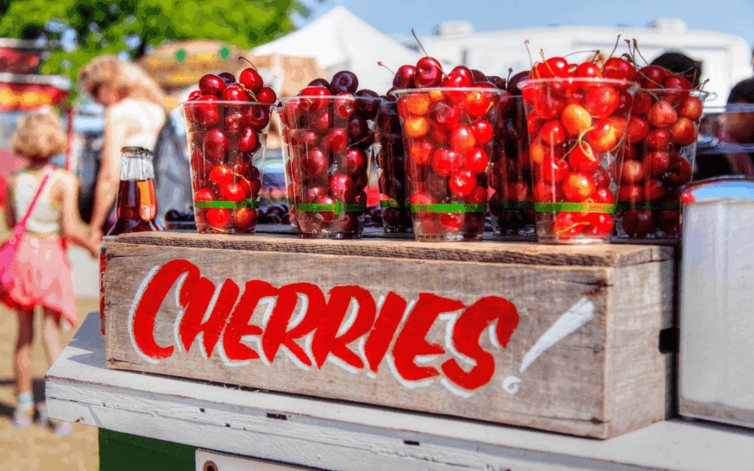 Michigan’s Best Annual Festivals: Your Year-Round Guide