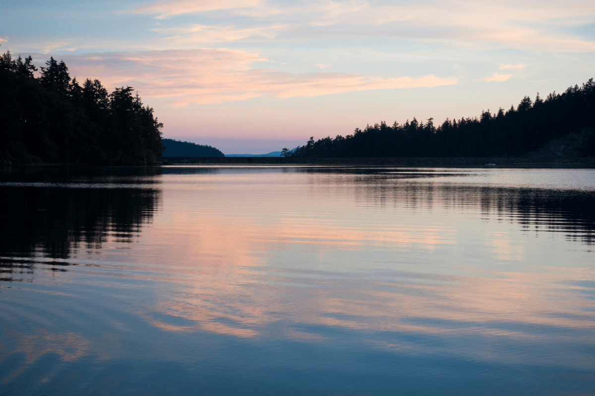 A serene lake reflects the soft pastel hues of a sunset sky, bordered by silhouetted trees on both sides, creating a tranquil and picturesque scene.
