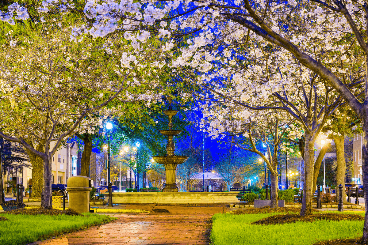 A brick pathway leads to a lit fountain surrounded by blooming trees with white flowers in a park at night, under a deep blue sky.
