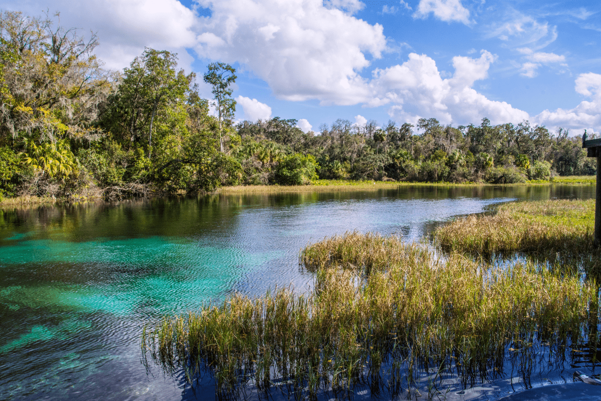 A serene river with clear turquoise water flows through lush greenery under a partly cloudy blue sky.
