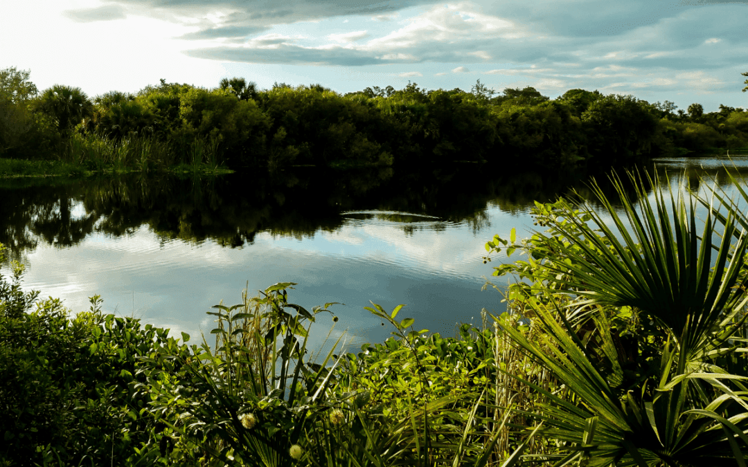 8 Best Day Trips from Sarasota FL (Under 2 Hours Drive)