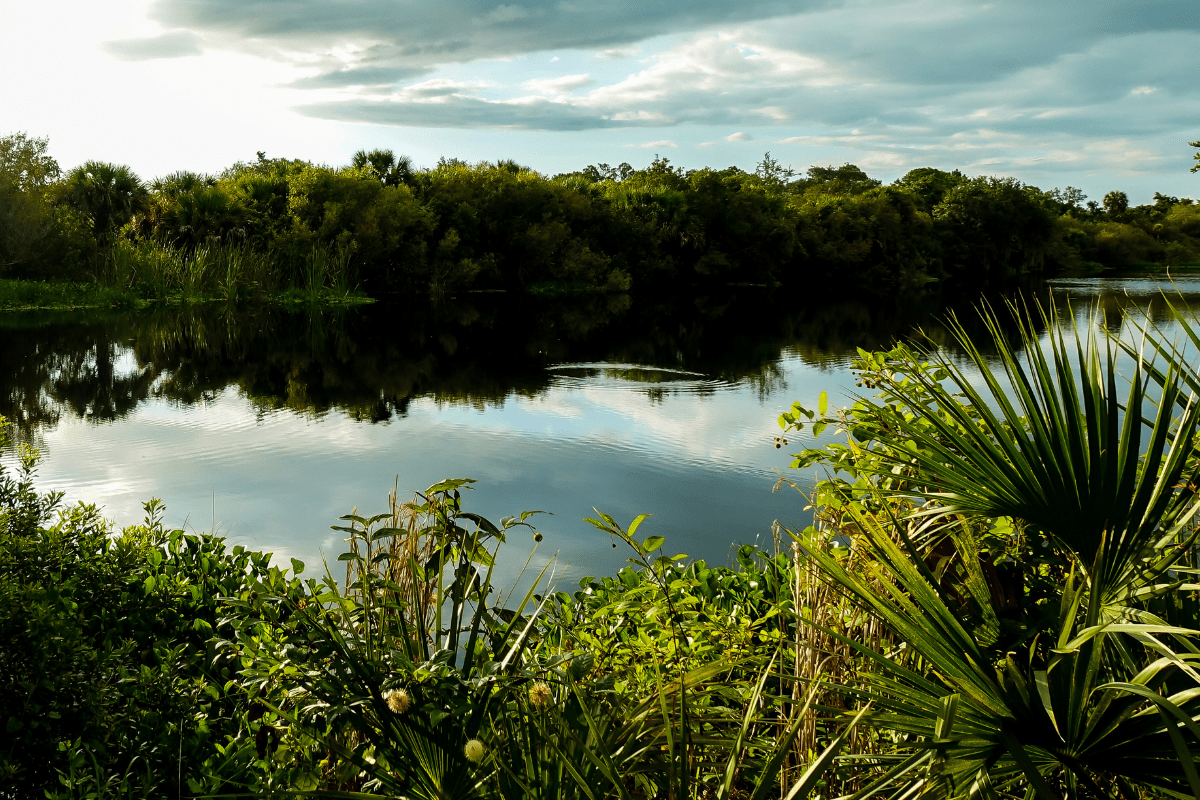 A serene lake reflects the cloudy sky, surrounded by lush greenery and dense trees under a bright, partly cloudy sky.