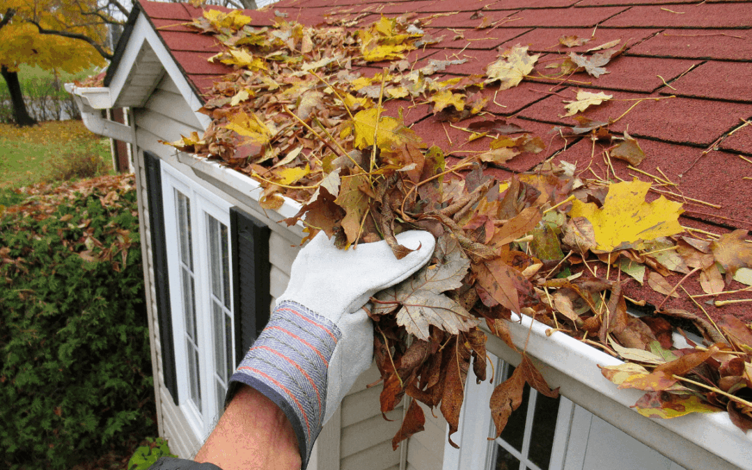 Fall Home Prep: Critical Tasks to Avoid Costly Winter Repairs