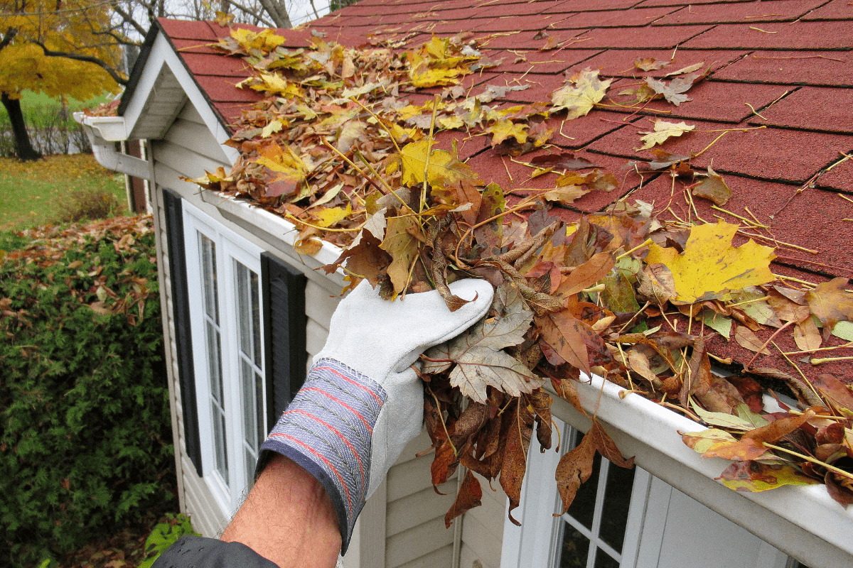 A person wearing a glove is cleaning a house gutter filled with dry autumn leaves on a red roof.