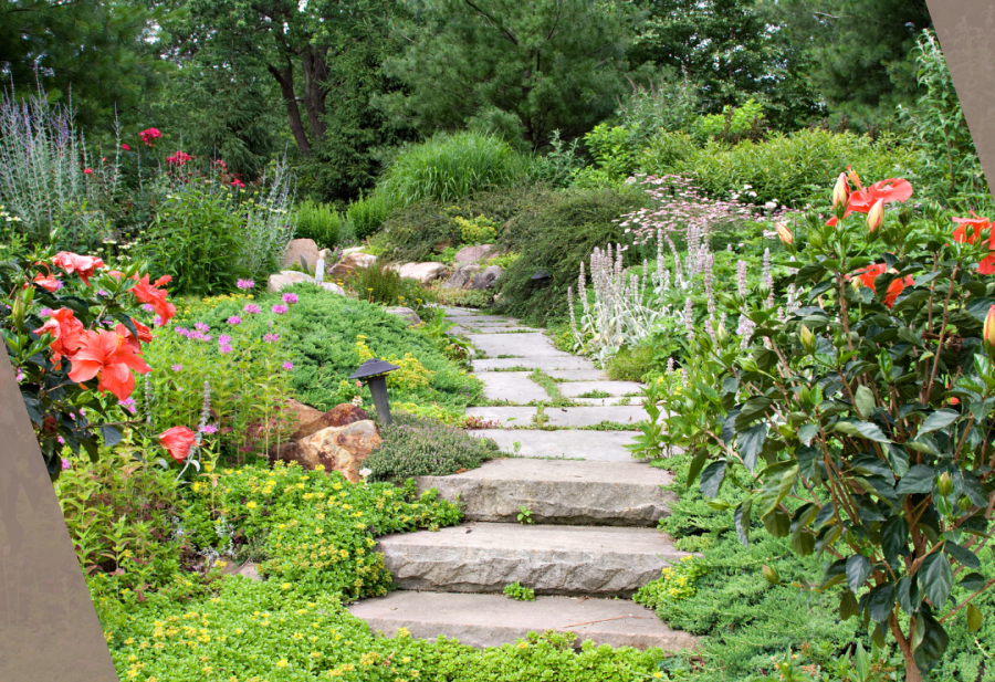 Stone pathway through lush garden with colorful flowers and greenery.