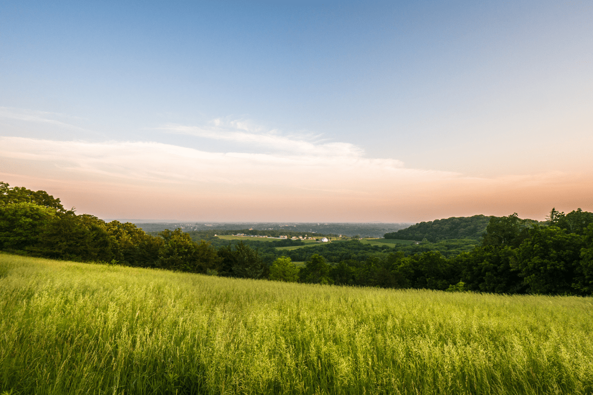 A serene landscape with a grassy field in the foreground, lush green trees, and a distant horizon under a clear blue sky with soft pink and orange hues.