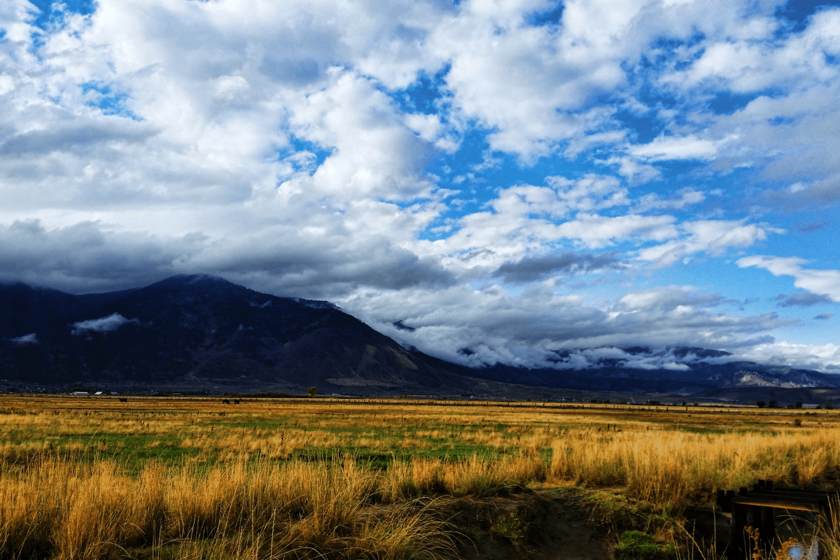 A vast landscape features a field of golden grass under a dramatic sky filled with scattered clouds, with mountains in the distance partially shrouded in mist.
