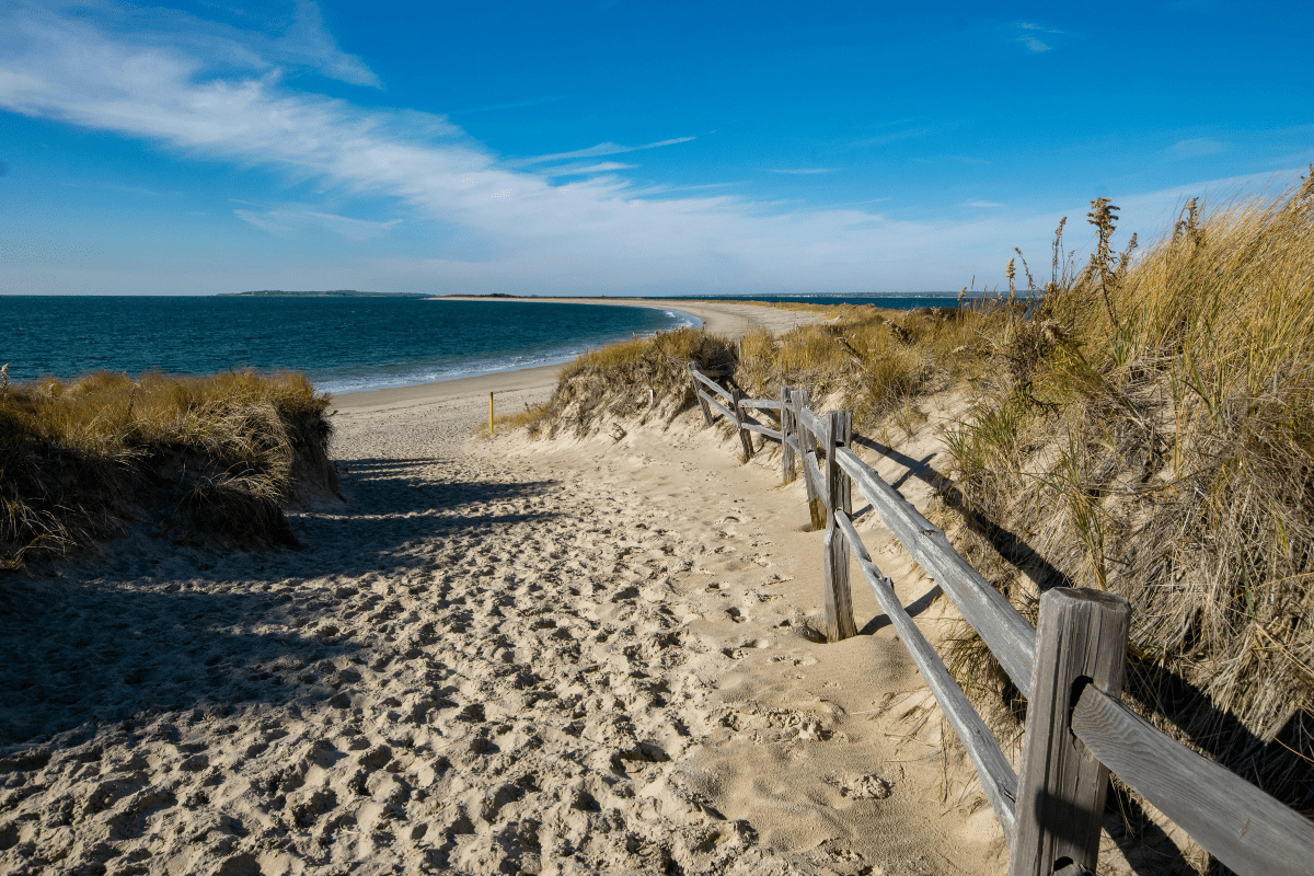 A sandy path lined with wooden fencing and tall grasses leads to a tranquil beach under a clear blue sky.