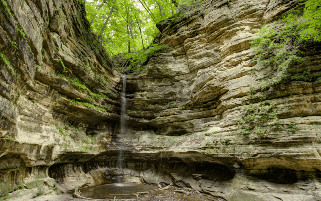 Illinois State Parks: No Entry Fees + Best Parks to Visit