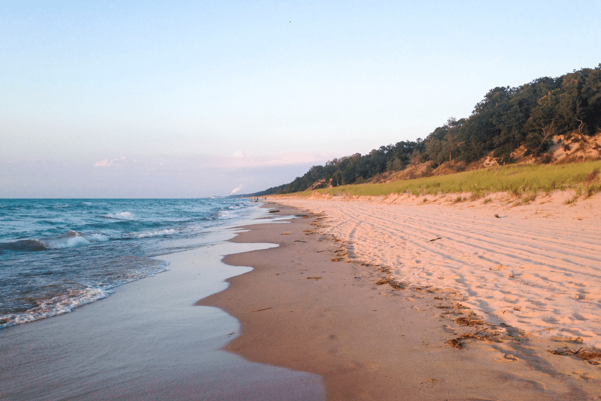 A serene beach scene at sunset with gentle waves lapping the sandy shore, bordered by grassy dunes and a tree-lined horizon under a clear sky.