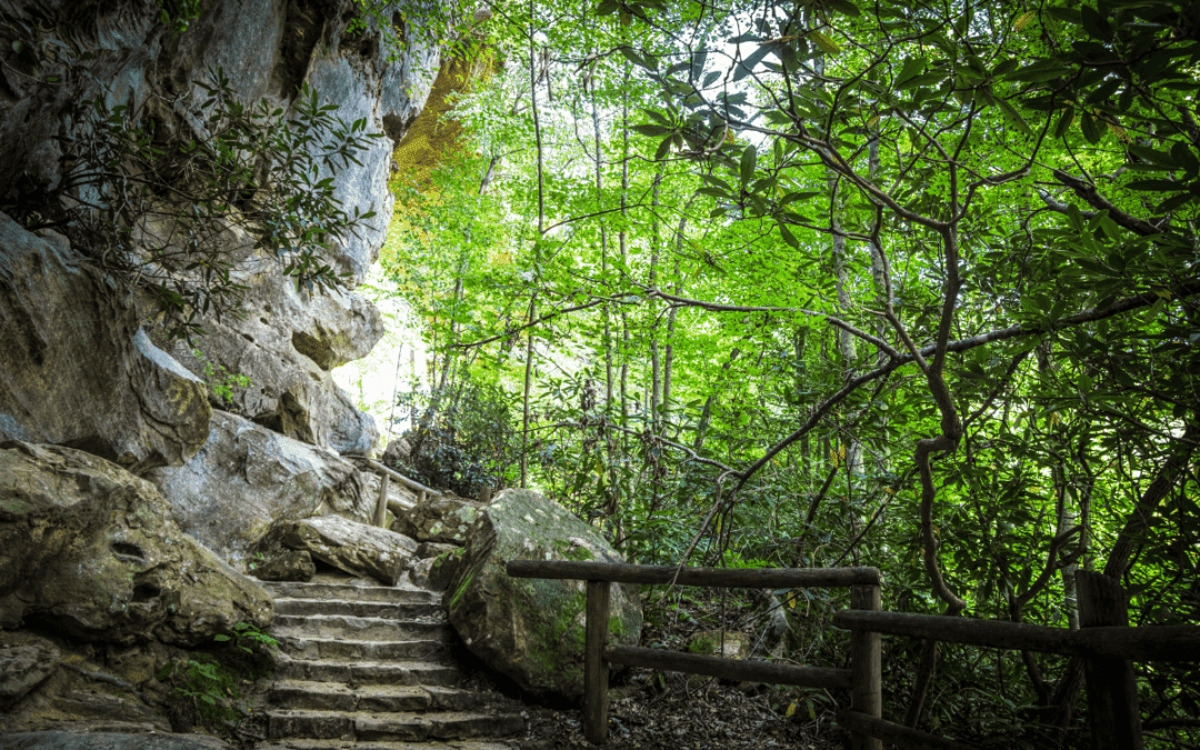 Kentucky State Parks Guide: No Fees, Best Parks & Activities