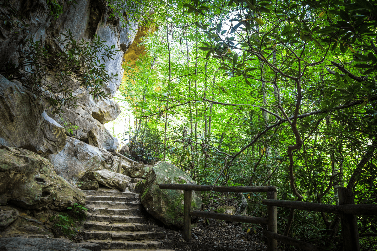 A stone staircase winds through a lush, green forest with large rocks and wooden railings, leading upward alongside a rocky cliff face.