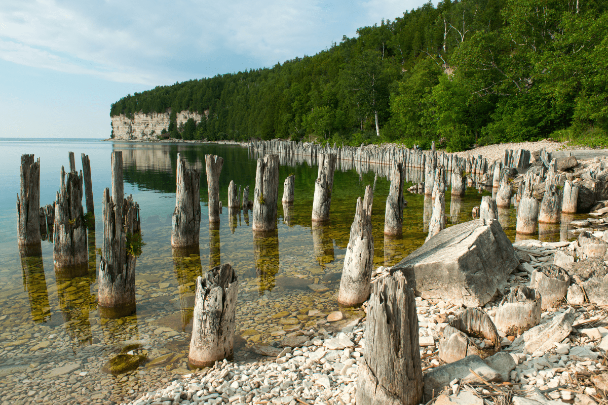 A serene lakeshore scene with rows of weathered wooden pilings emerging from clear water, bordered by rocky shorelines and lush green trees under a partly cloudy sky.