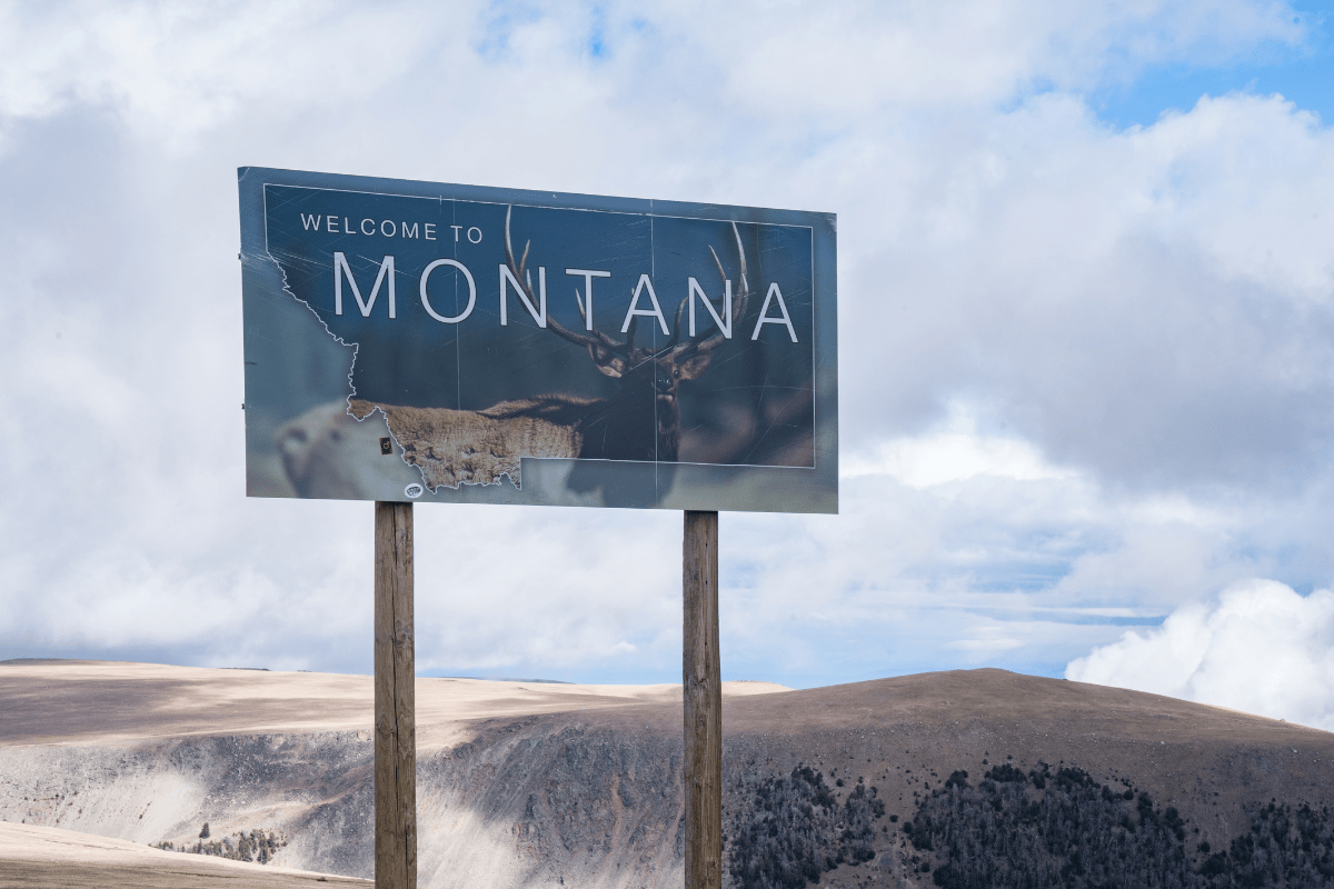 A "Welcome to Montana" sign with an image of a deer and a map outline stands against a backdrop of rolling hills and a cloudy sky.
