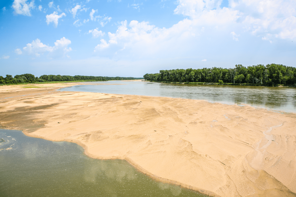 A wide river flows beside a sandy beach under a bright blue sky with scattered clouds, bordered by a line of lush green trees in the distance.