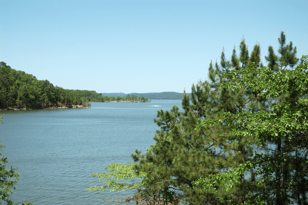 A serene lake surrounded by lush green trees under a clear blue sky, with distant hills visible on the horizon.