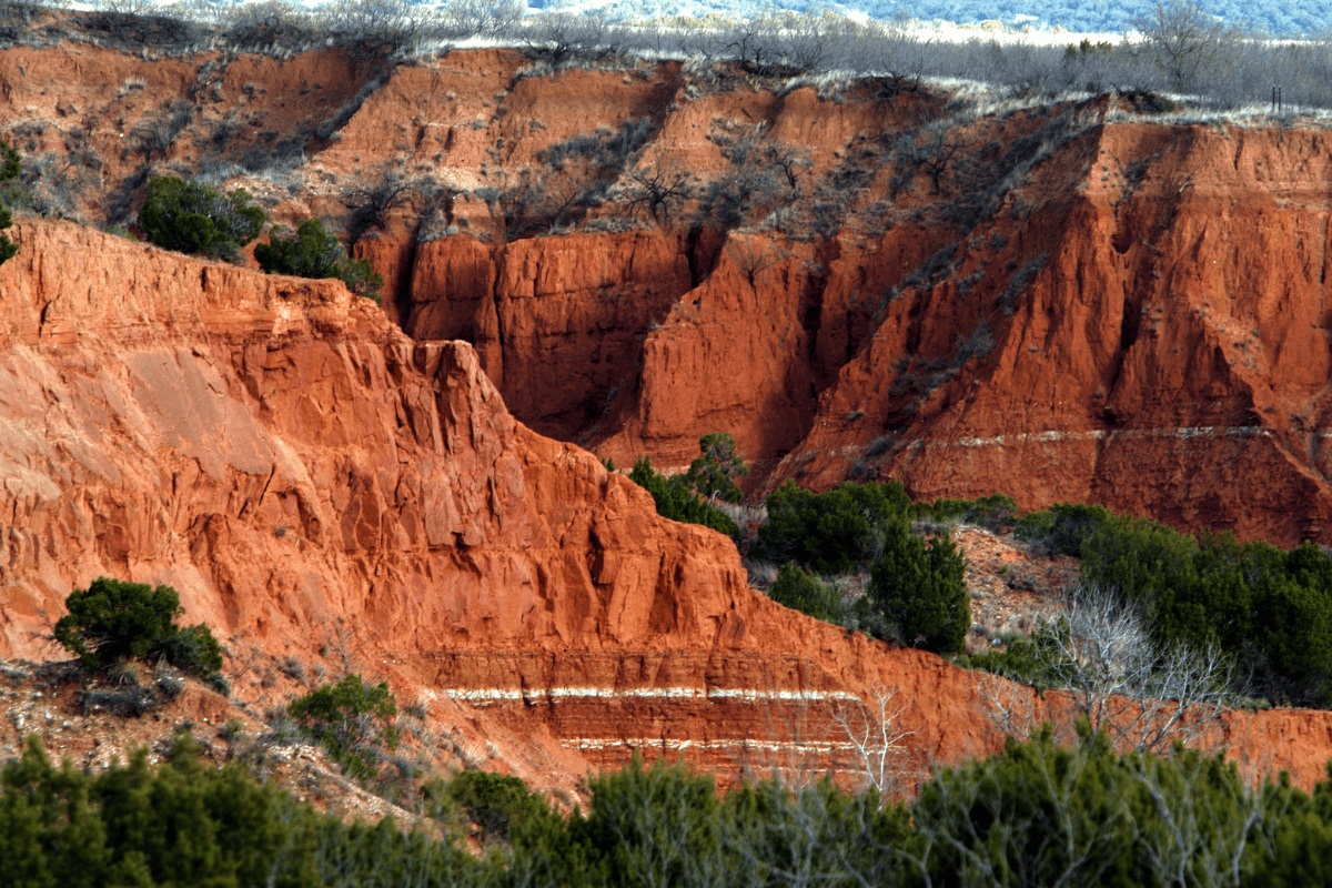 A landscape of striking red rock cliffs with layered formations and sparse green vegetation, set against a backdrop of pale, leafless trees and a clear sky.