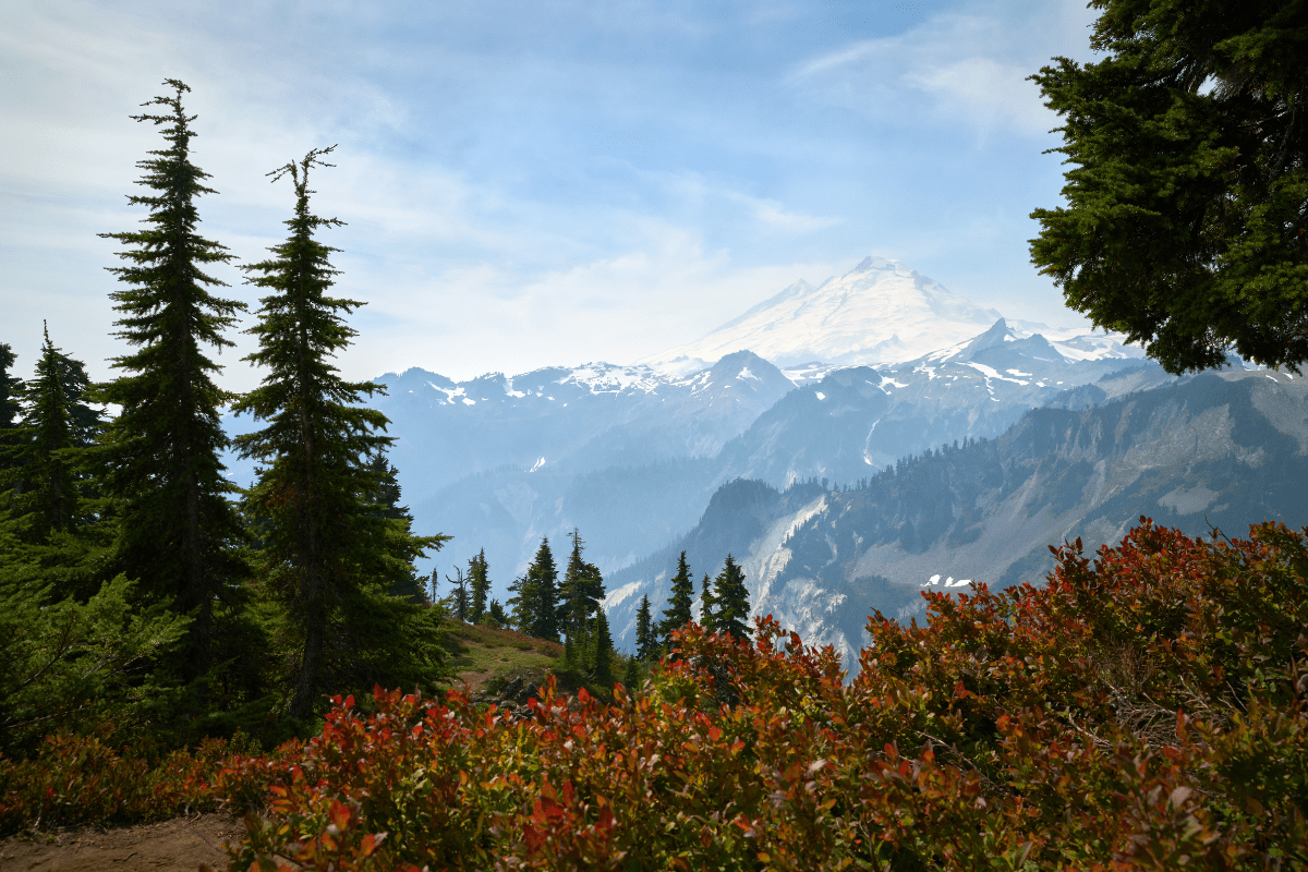 A scenic view of a snow-capped mountain in the distance, surrounded by lush evergreen trees and red-tinted shrubs under a partly cloudy sky.