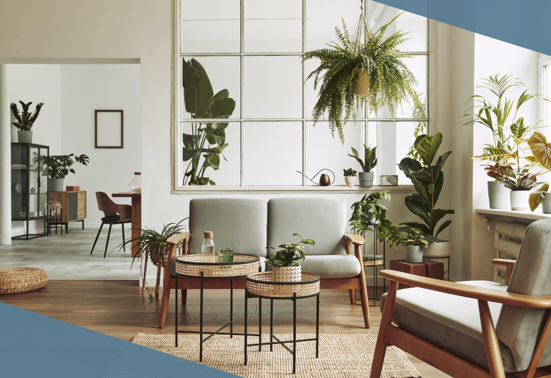 Modern living room with large windows, indoor plants, and minimalist furniture.