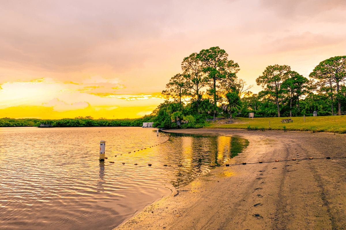 A serene lakeside scene at sunset with a sandy shore, calm water, and trees silhouetted against a vibrant yellow and orange sky.