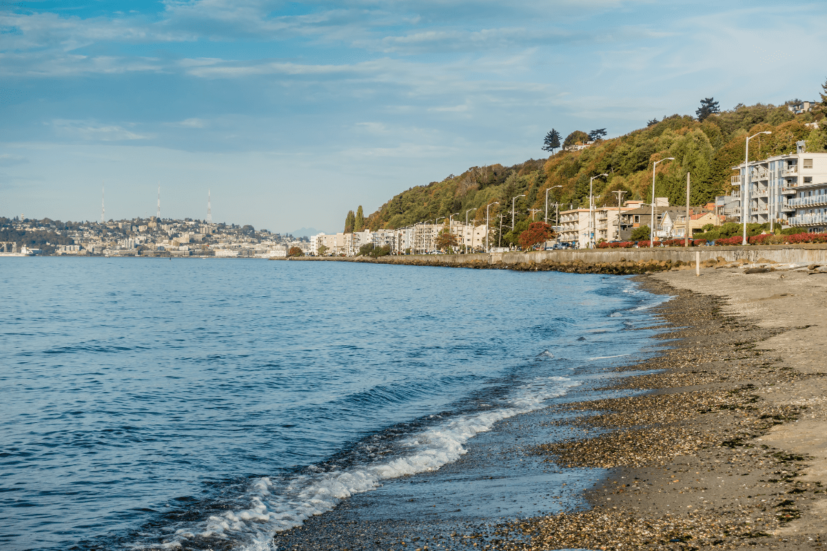 A scenic view of a calm beach with gentle waves, bordered by a tree-lined promenade and residential buildings under a partly cloudy sky.