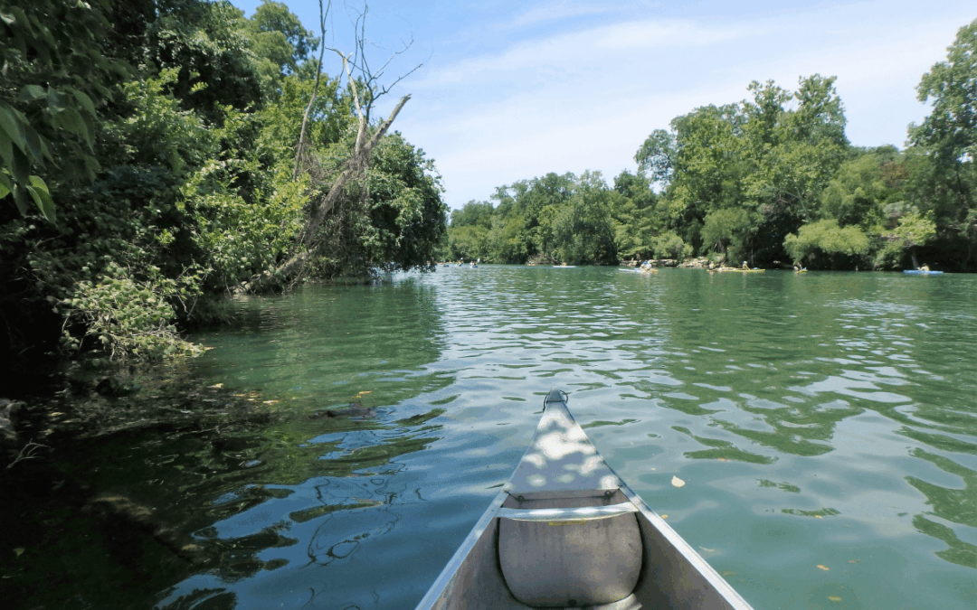 Day Trips from Georgetown: BBQ, Swimming Holes & Wine Country