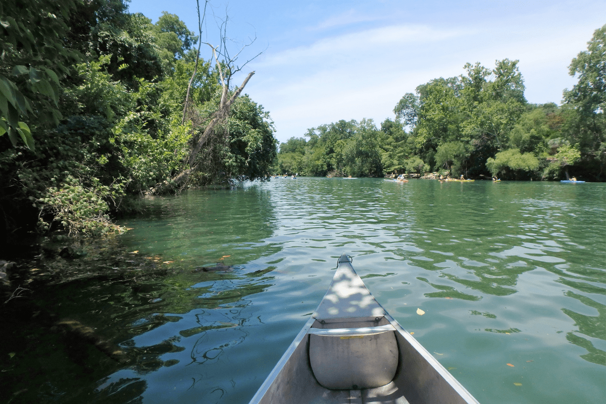 A canoe glides through a calm, green river surrounded by lush trees under a clear blue sky.