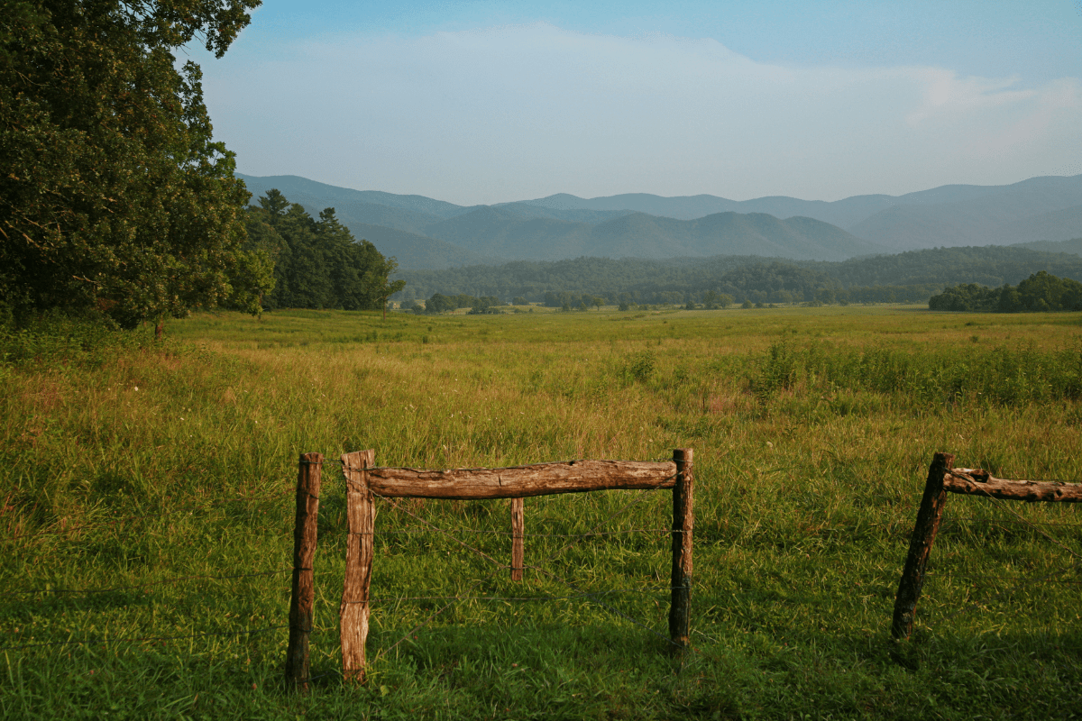 A peaceful meadow with wooden fence posts in the foreground, surrounded by lush green grass and trees, with rolling mountains under a clear blue sky in the background.